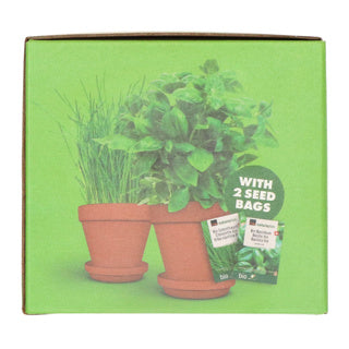 Terracotta Pot Set
