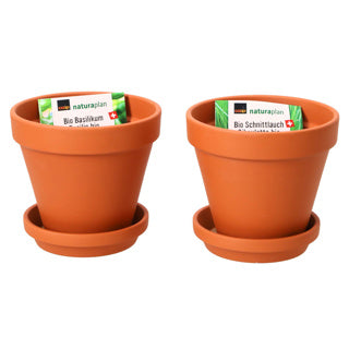 Terracotta Pot Set