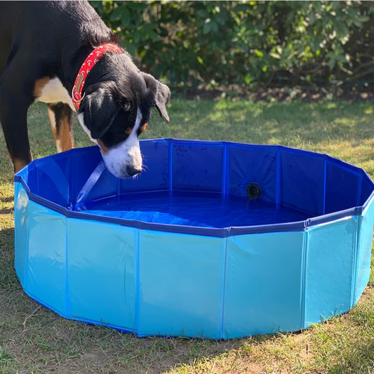 Hundepool 80x20cm Blau